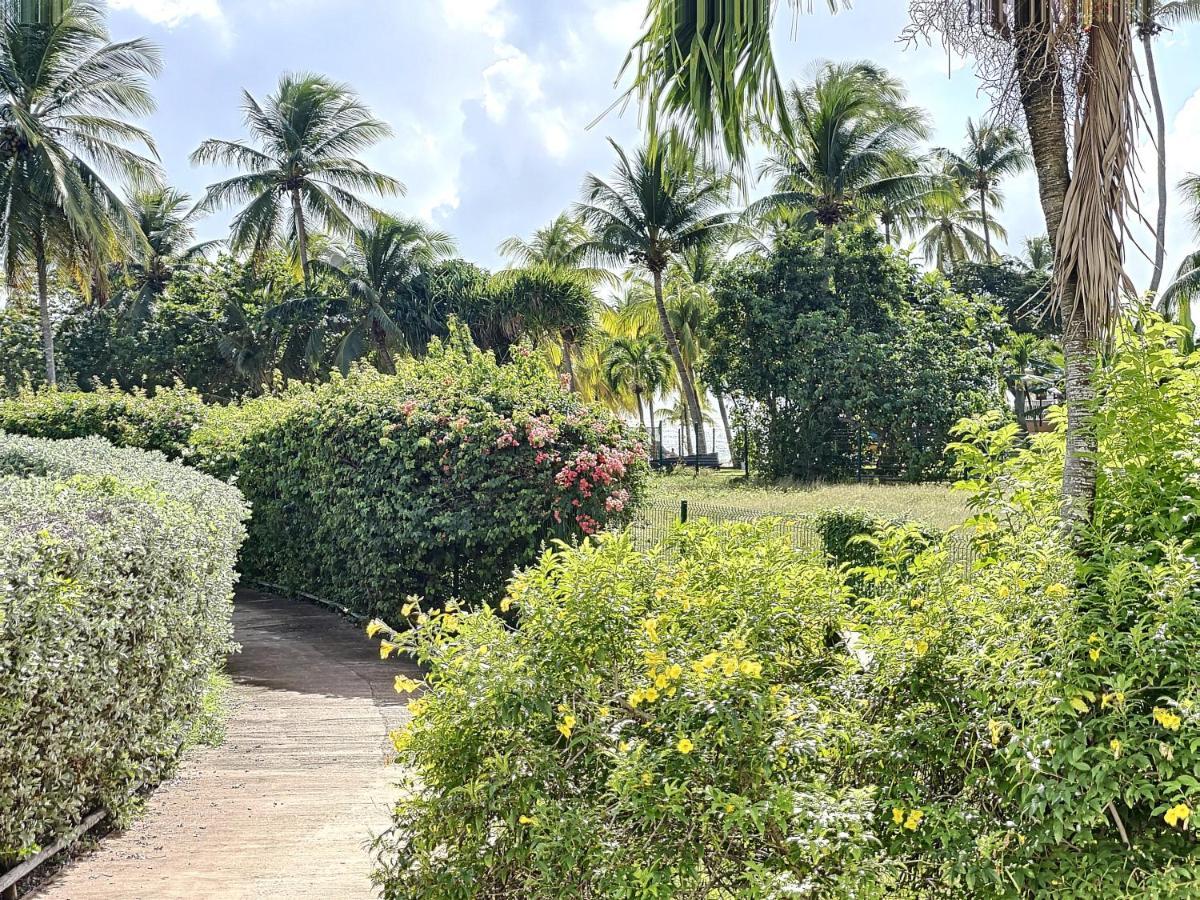 Blue Paradise Studio Avec Acces Privatif Plage Le Gosier  Extérieur photo